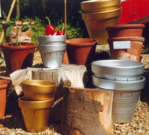 Pots by Ms Sharples